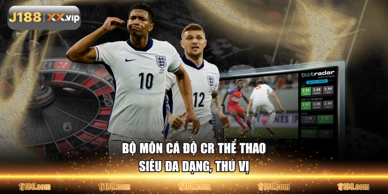 Bộ môn cá độ CR thể thao siêu đa dạng, thú vị
