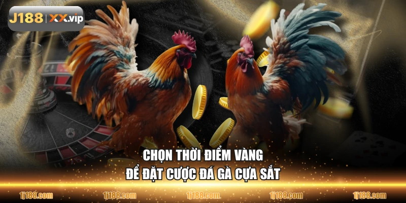 Chọn thời điểm vàng để đặt cược đá gà cựa sắt