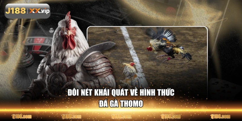 Đôi nét khái quát về hình thức đá gà Thomo