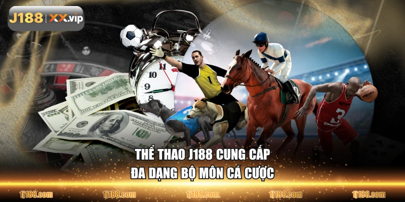 Thể thao J188 cung cấp đa dạng bộ môn cá cược