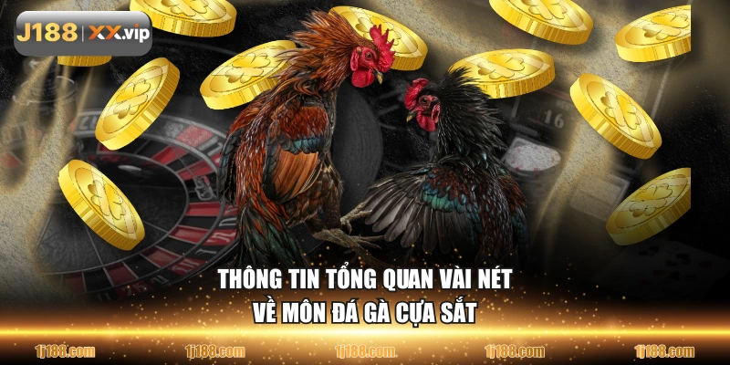 Thông tin tổng quan vài nét về môn đá gà cựa sắt